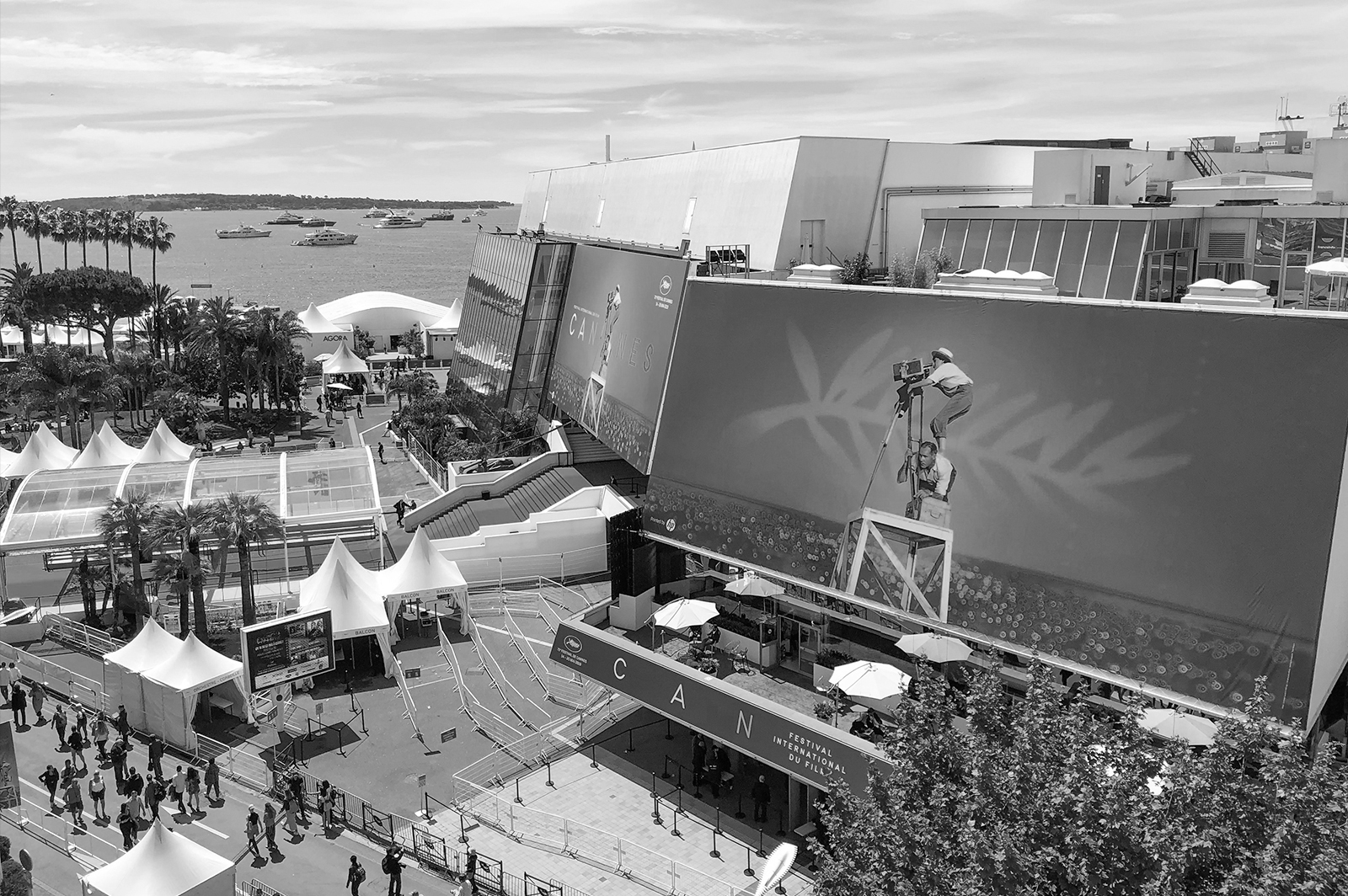 Festival De Cannes